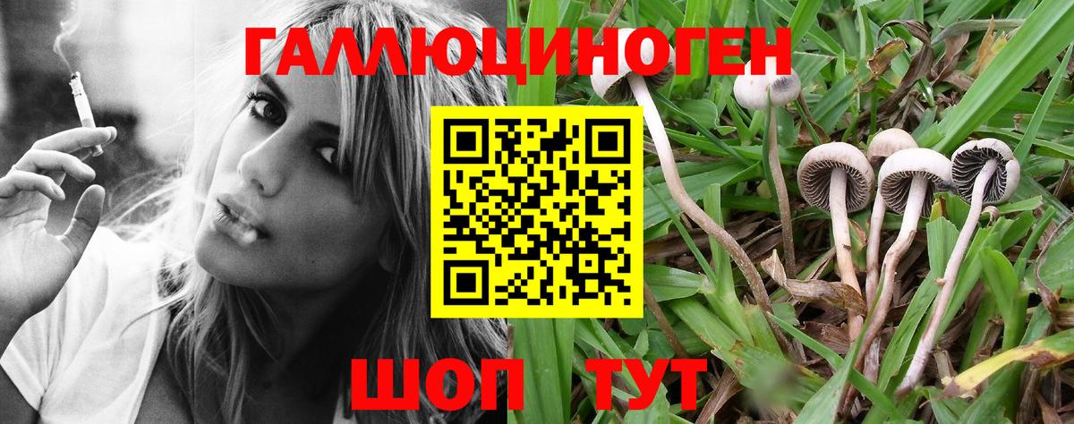 Котельники  Псилоцибиновые грибы мицелий  Вход с VPN 
